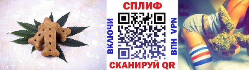 Купить закладки  Спас-Клепики  Cannafood конопля 