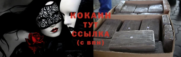 прущие крисы Аркадак