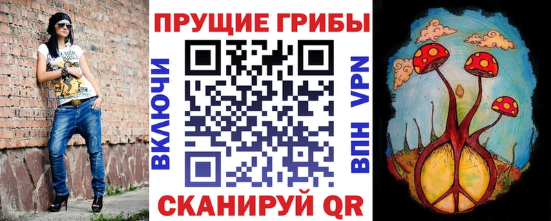 Купить где  Спас-Клепики  Псилоцибиновые грибы мицелий 